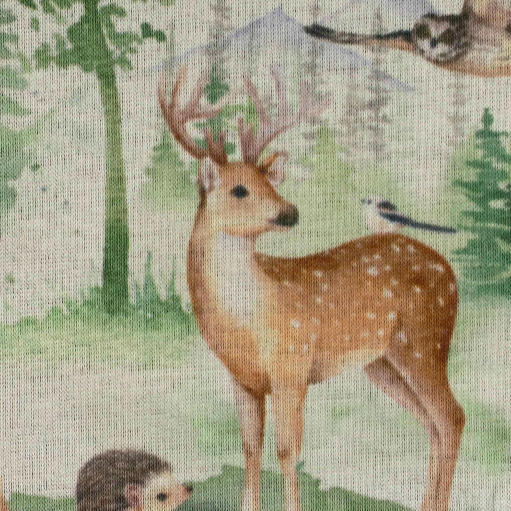 Vorschaubild 4