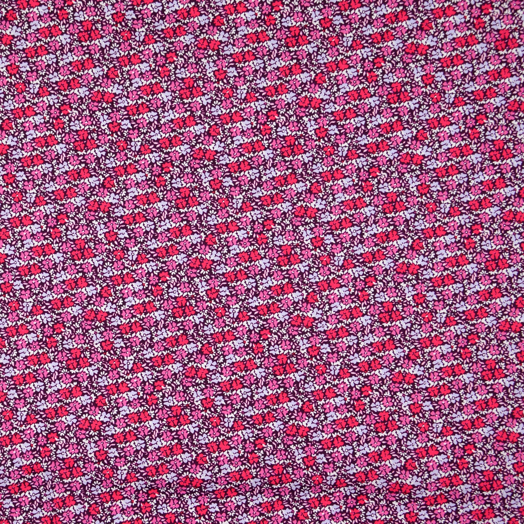 Vorschaubild 13