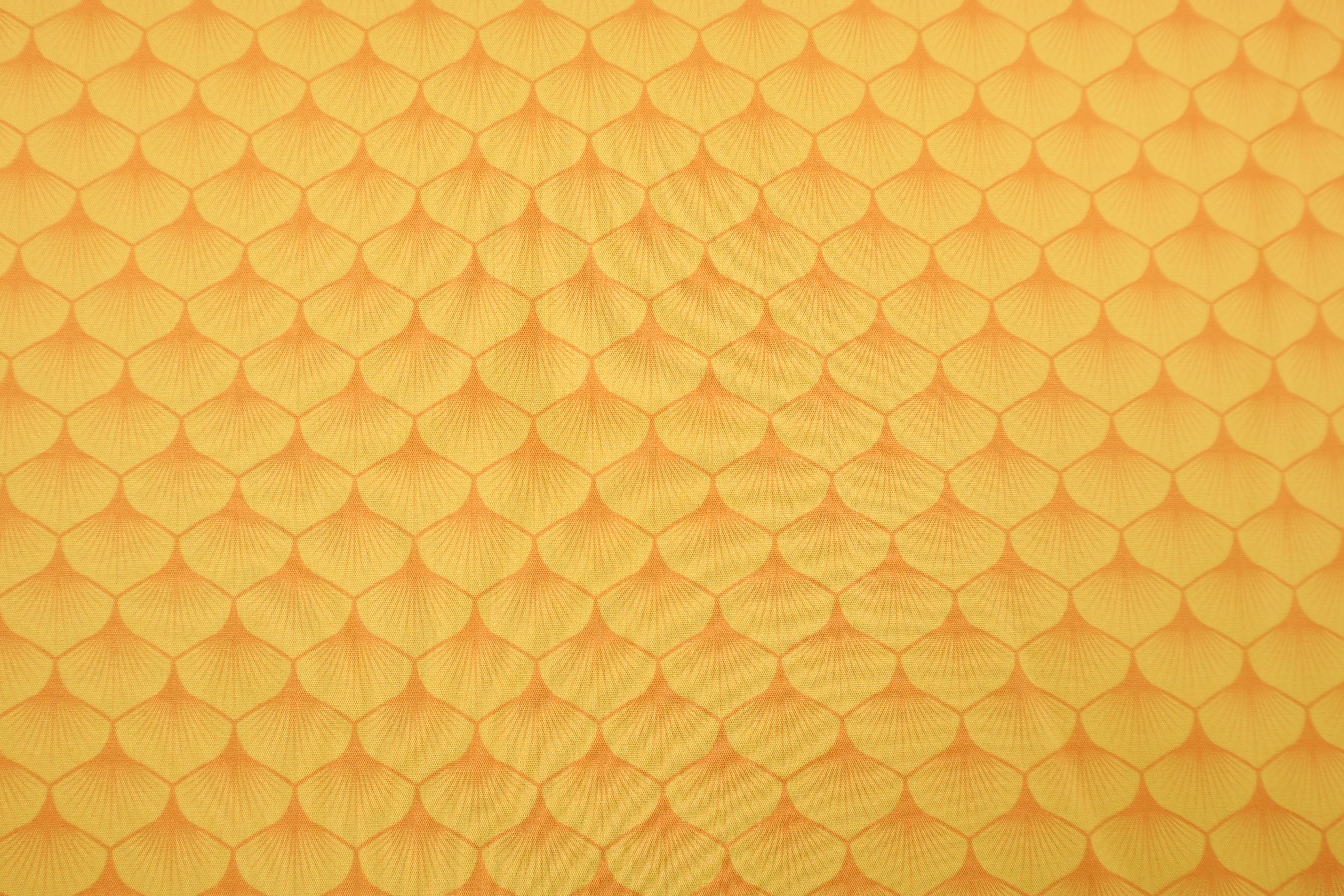 Vorschaubild 25