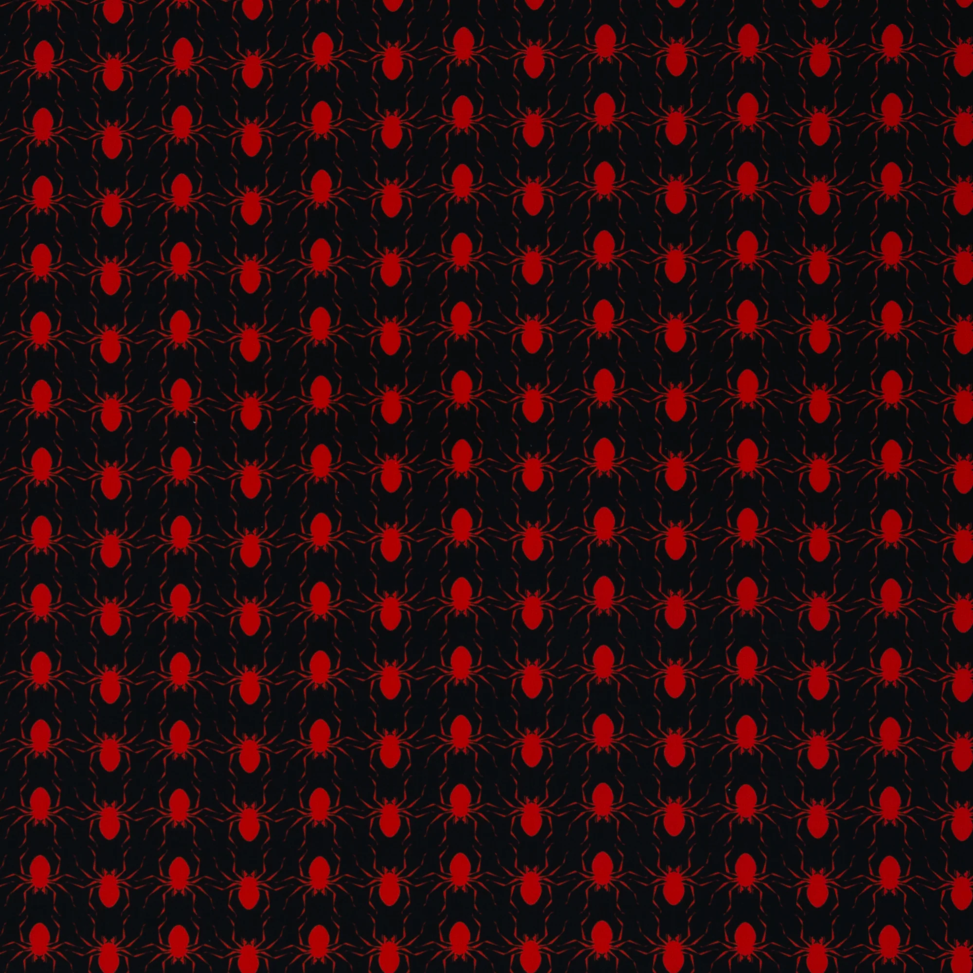 Vorschaubild 26