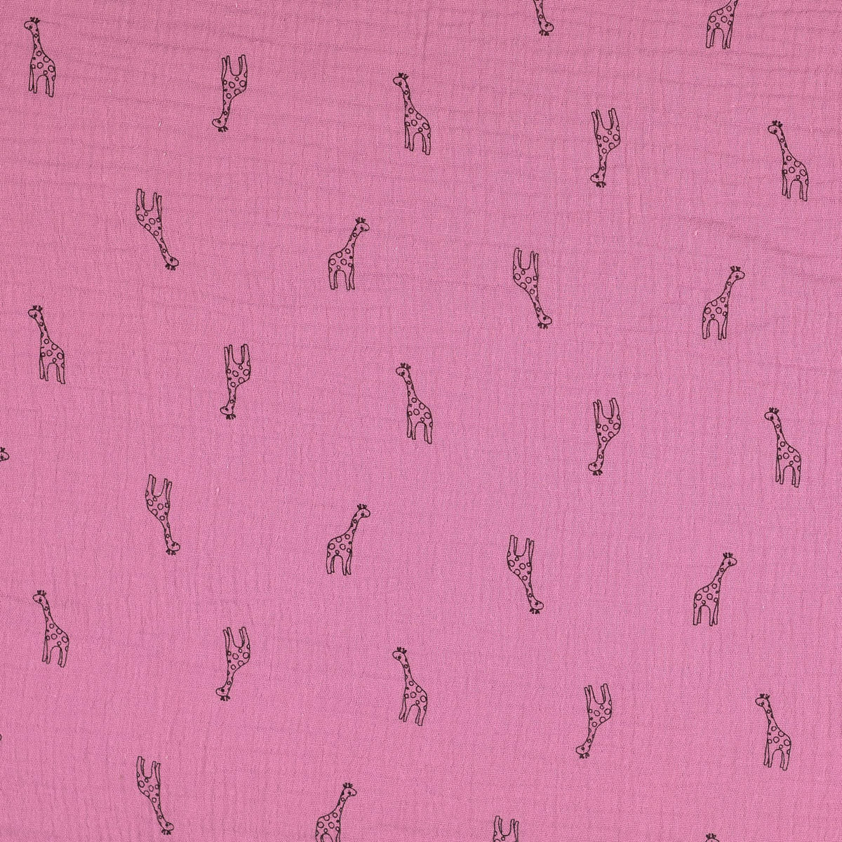 Vorschaubild 6
