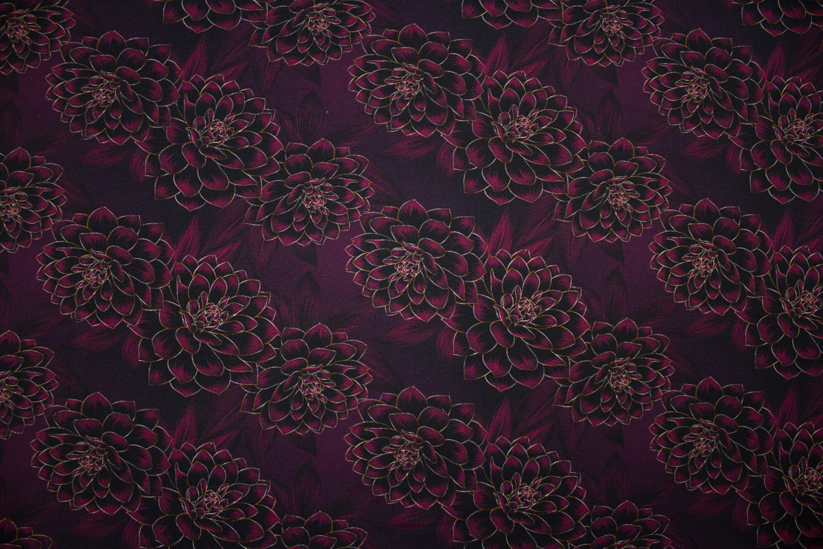 Vorschaubild 5