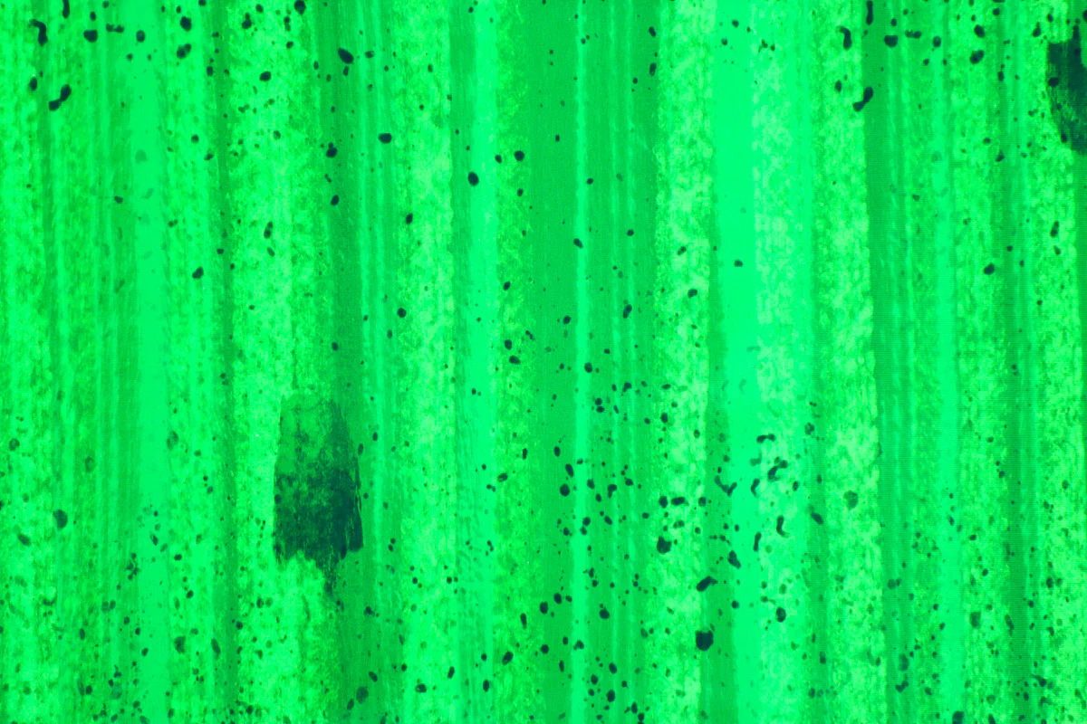 Vorschaubild 3