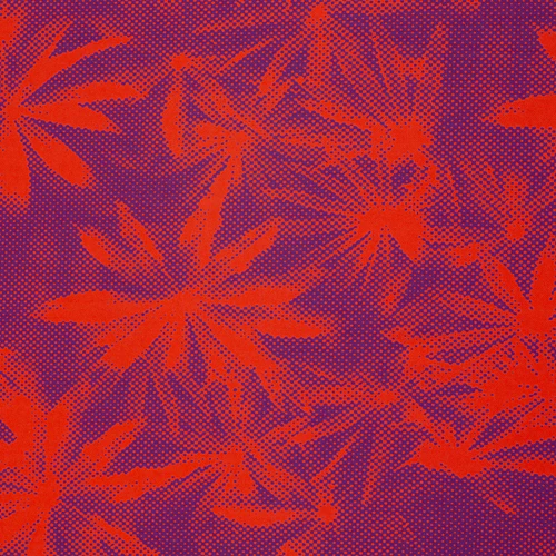 Vorschaubild 5