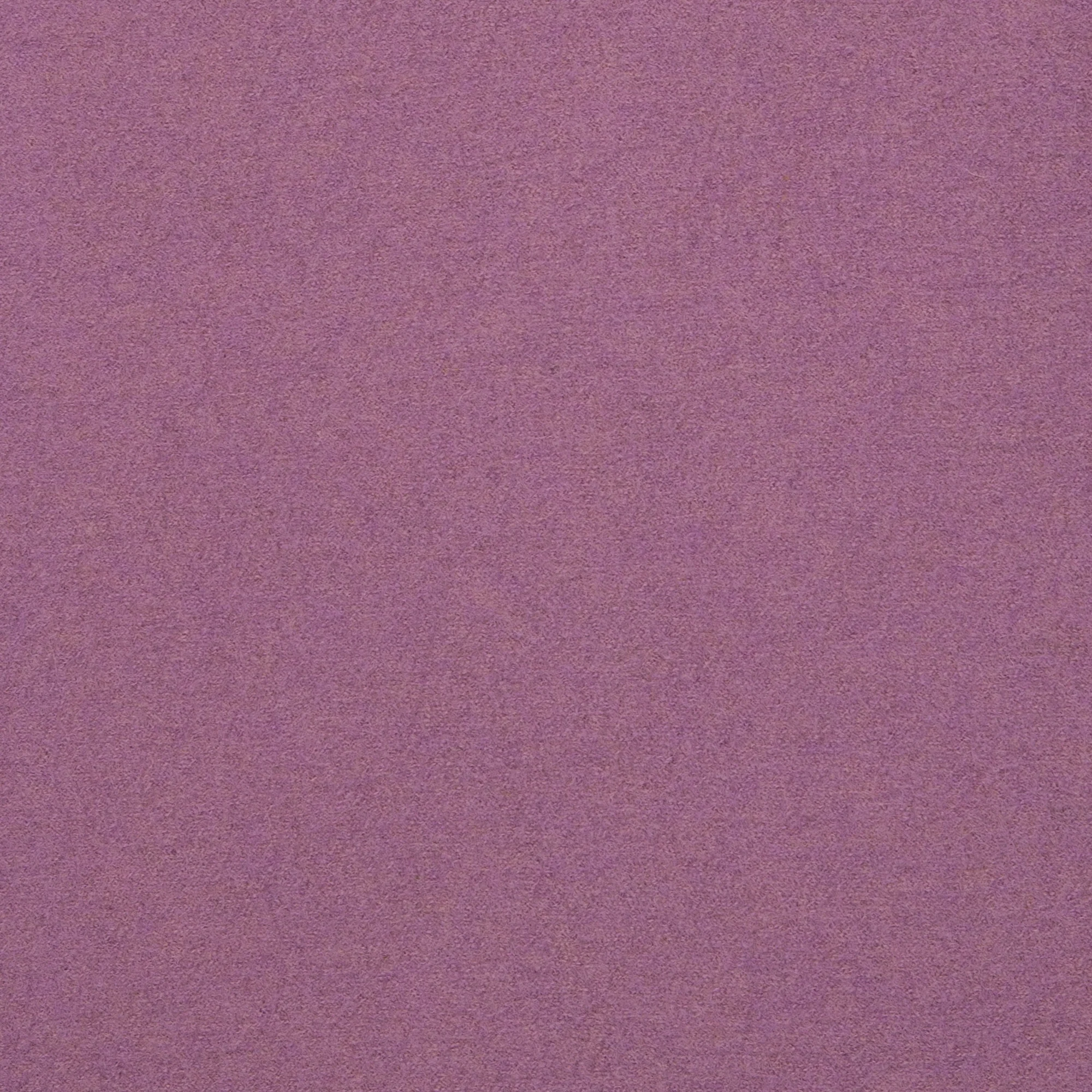 Vorschaubild 24
